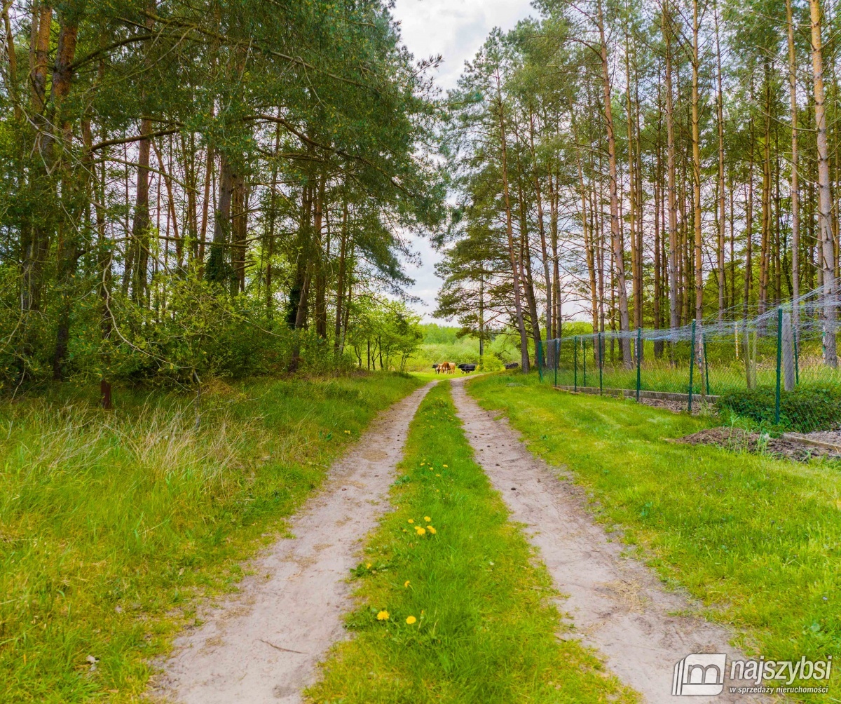 Przybiernów- Działka 0,7637 ha blisko jeziora. WZ (7)