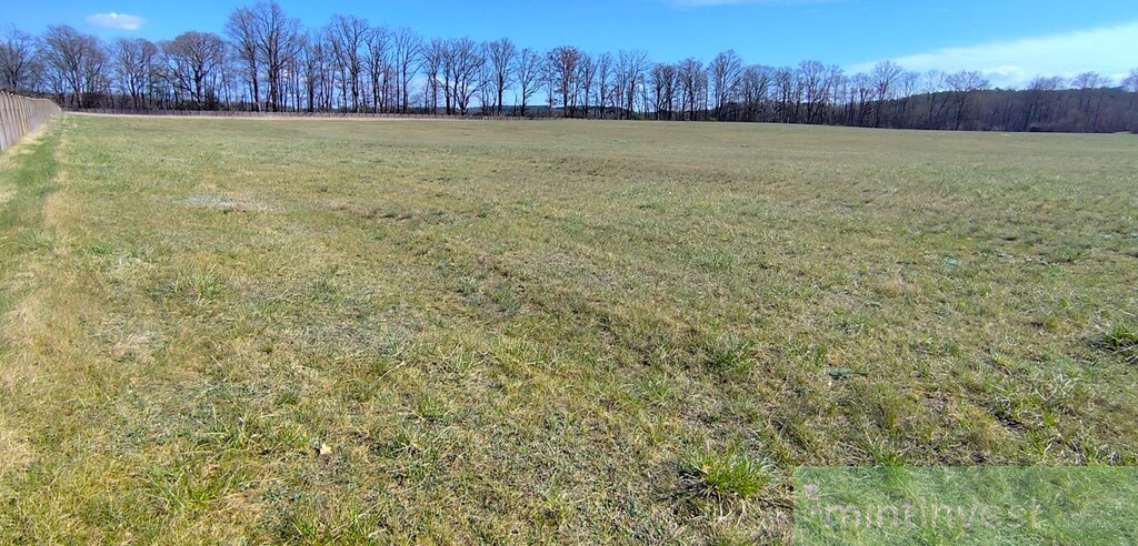 Inwestycyjna działka nad Jeziorem Przybiernowskim (15)