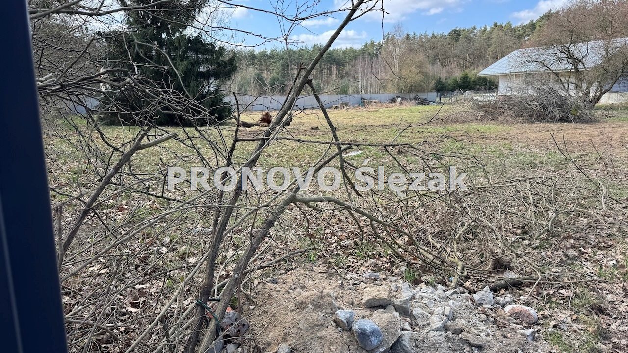 Jary 35a działka budowlana w otoczeniu lasów (5)