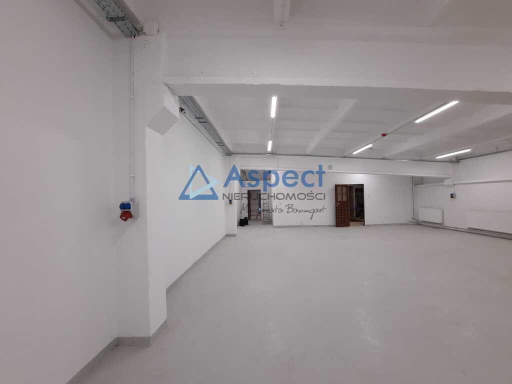 Wynajem, hala 380 m2, blisko Centrum. (5)