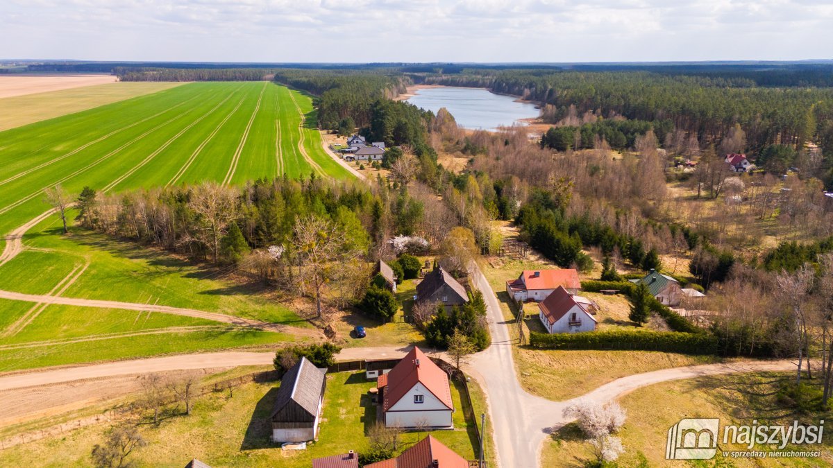 Psie Głowy - przedwojenny dom z lasem (1)