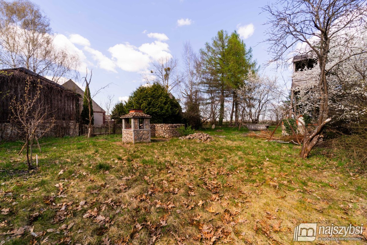 Psie Głowy - przedwojenny dom z lasem (26)