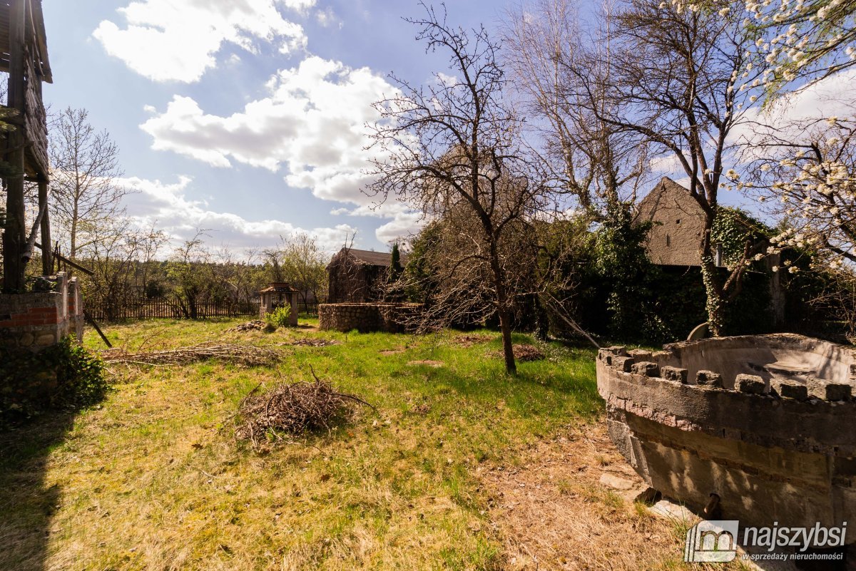 Psie Głowy - przedwojenny dom z lasem (27)