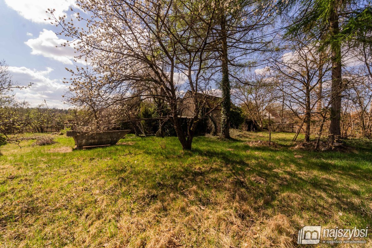 Psie Głowy - przedwojenny dom z lasem (28)