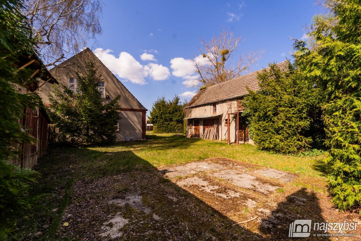 Psie Głowy - przedwojenny dom z lasem (4)