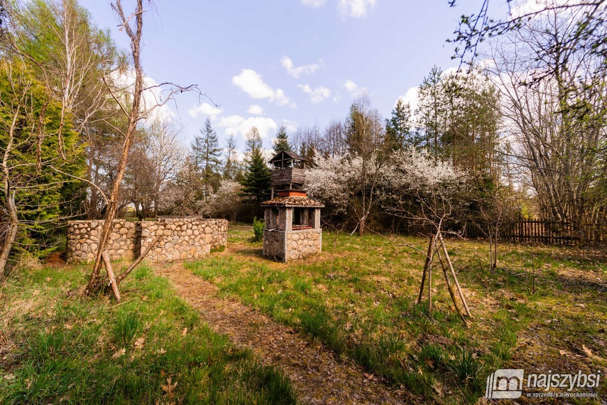 Psie Głowy - przedwojenny dom z lasem (5)
