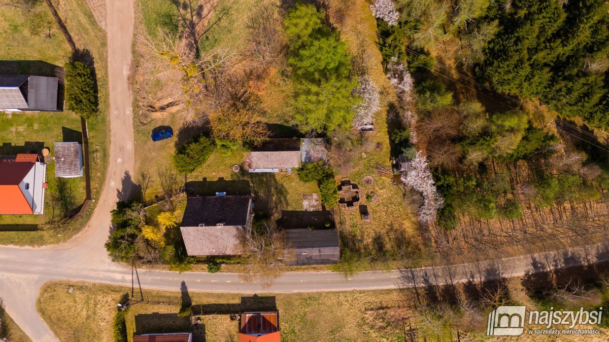 Psie Głowy - przedwojenny dom z lasem (8)