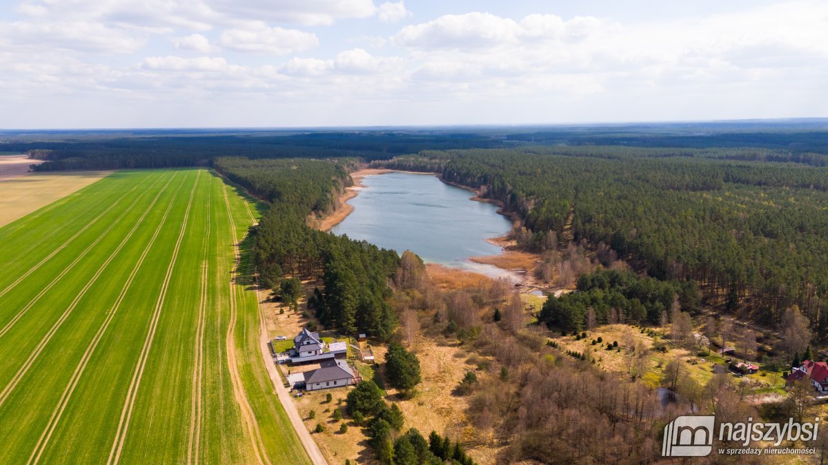 Psie Głowy - przedwojenny dom z lasem (9)