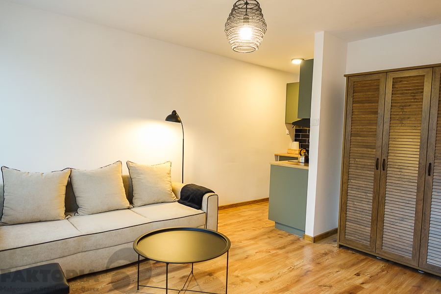 Kawalerka 29 m2 d. standard do wynajęcia 1800+345 (4)