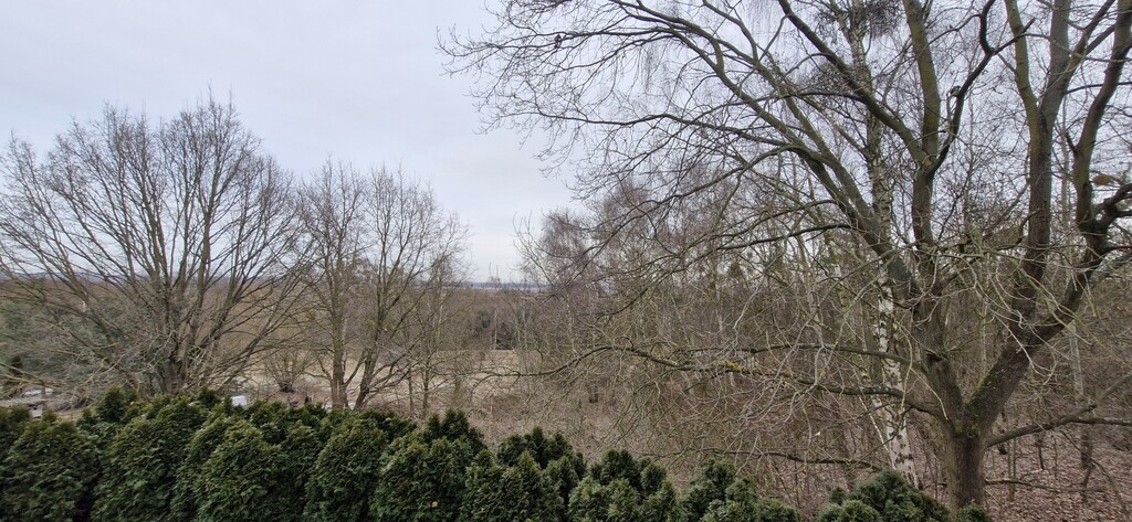 Dom z basenem i domkiem dla gości w cichej okolicy (21)