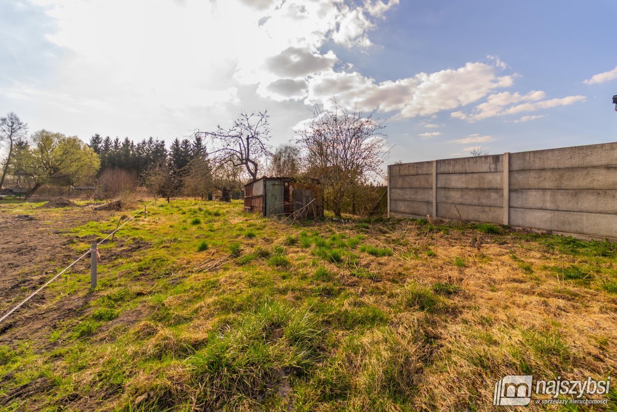 Chojna- dom do remontu z dużą działką (6)
