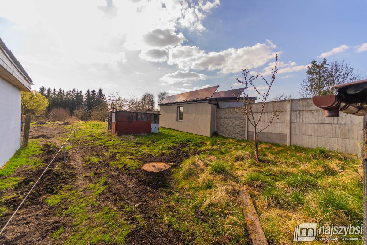 Chojna- dom do remontu z dużą działką (7)