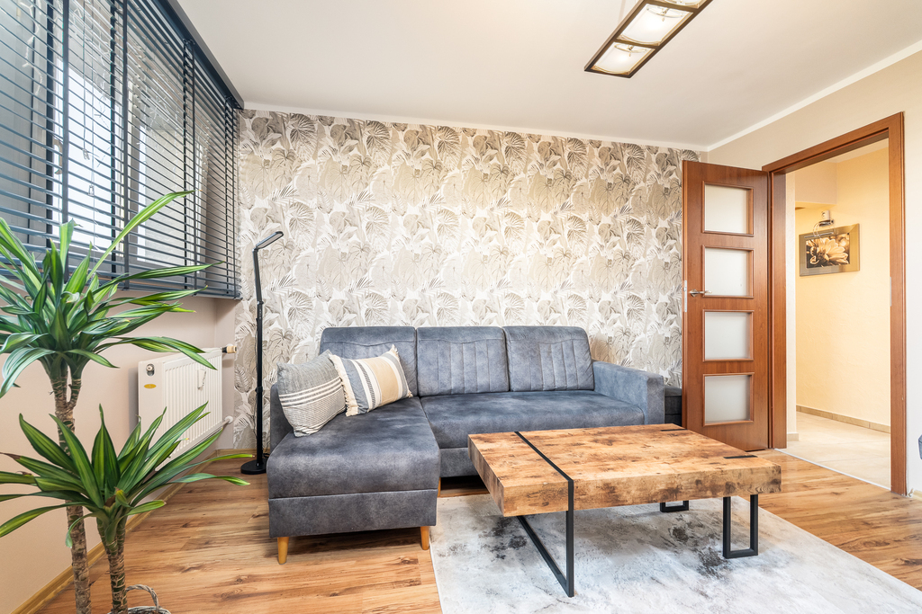 3. pokoje + 18m2 strych, po remoncie, przy Hanza (2)