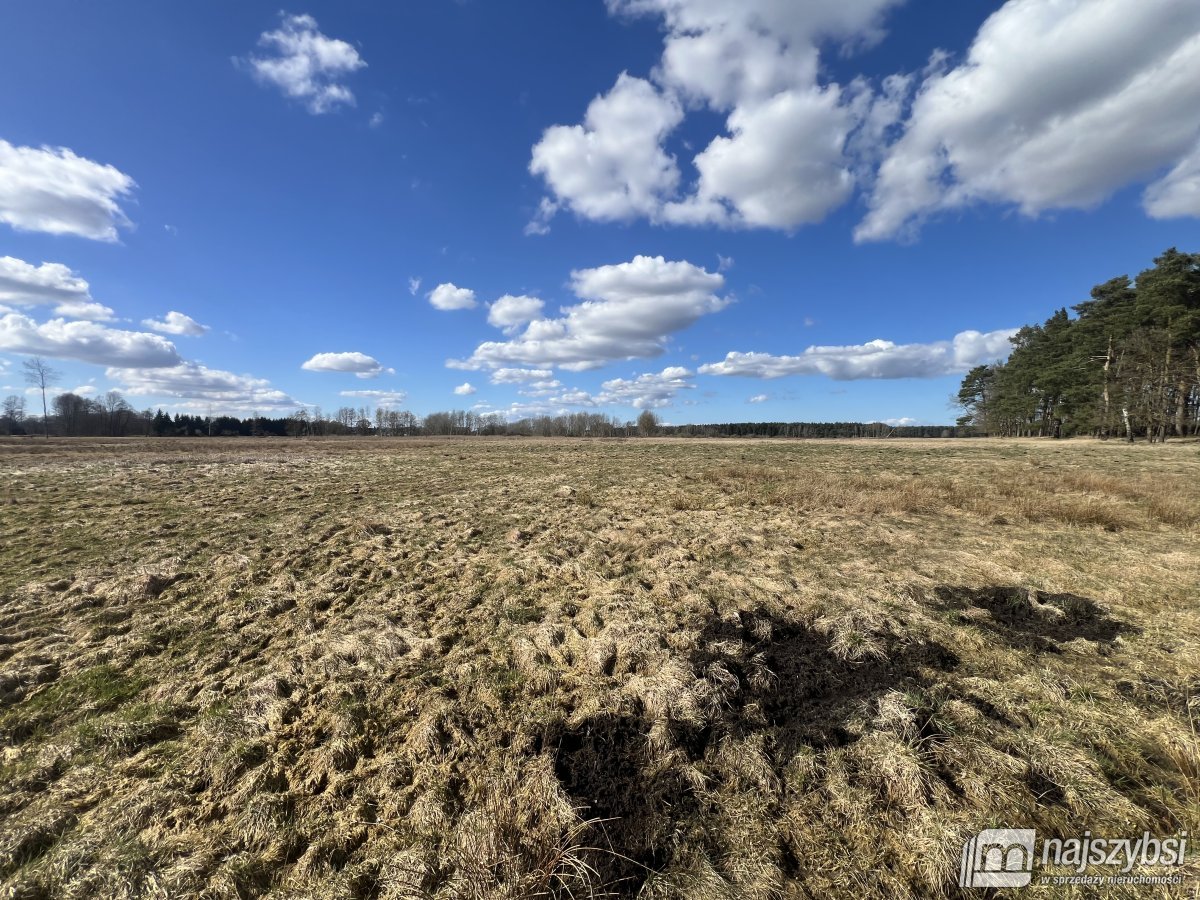 Grzepnica - duże działki z potencjałem (1)