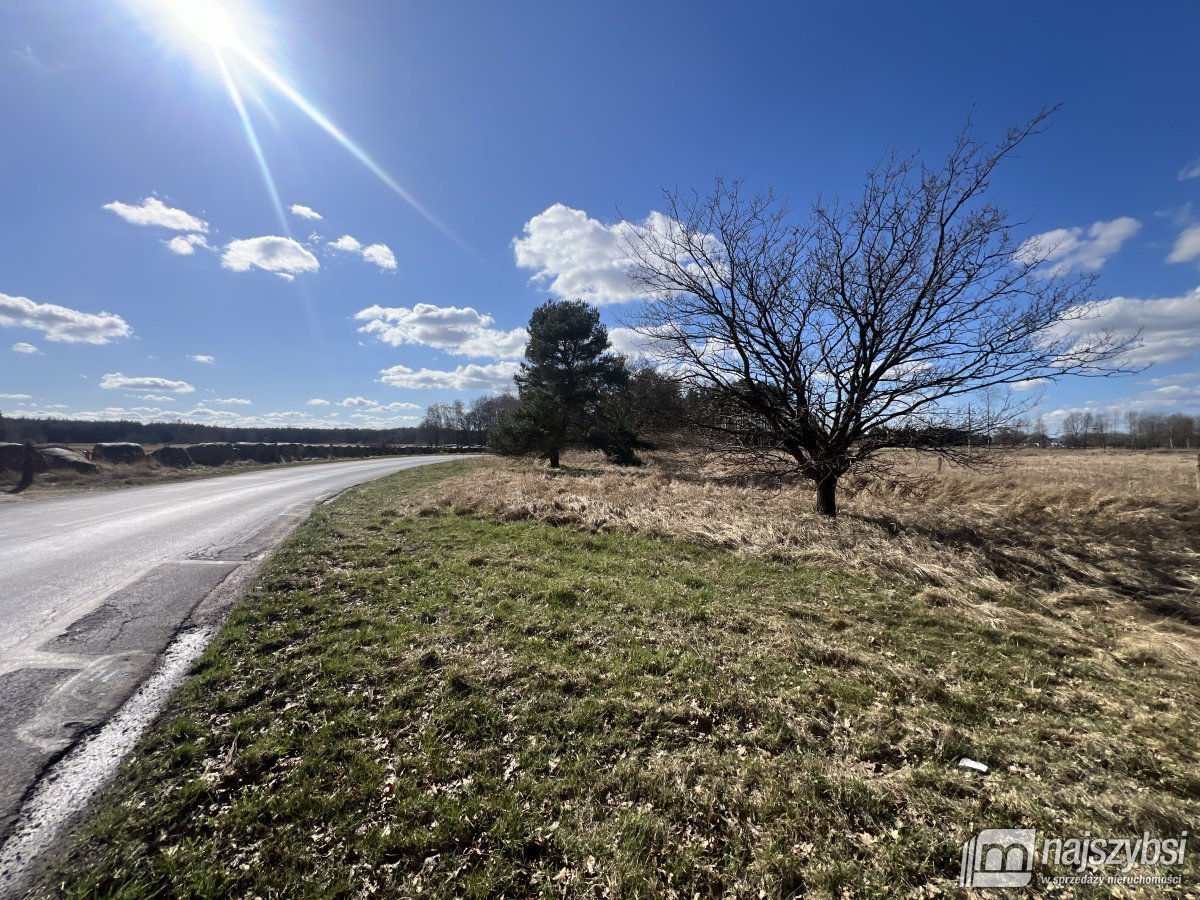 Grzepnica - duże działki z potencjałem (3)