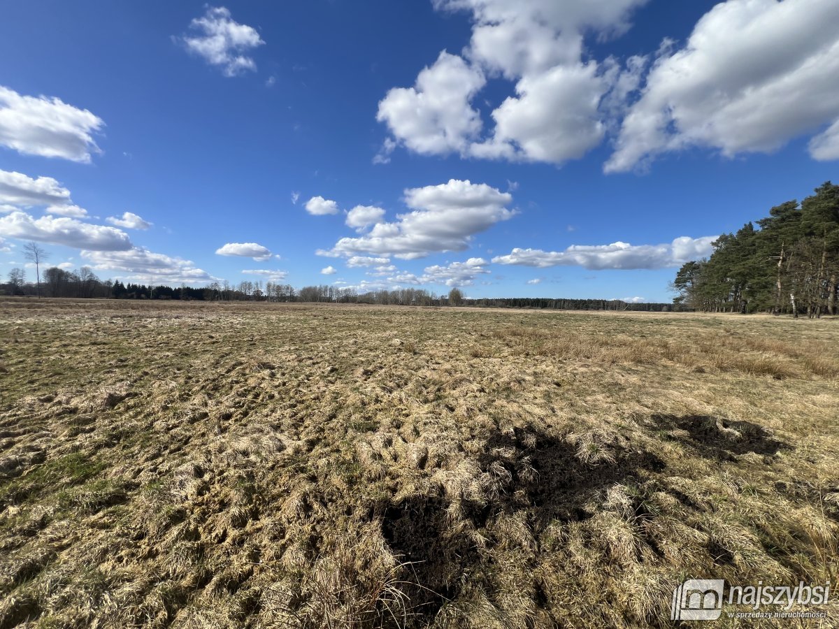 Grzepnica - duże działki z potencjałem (4)