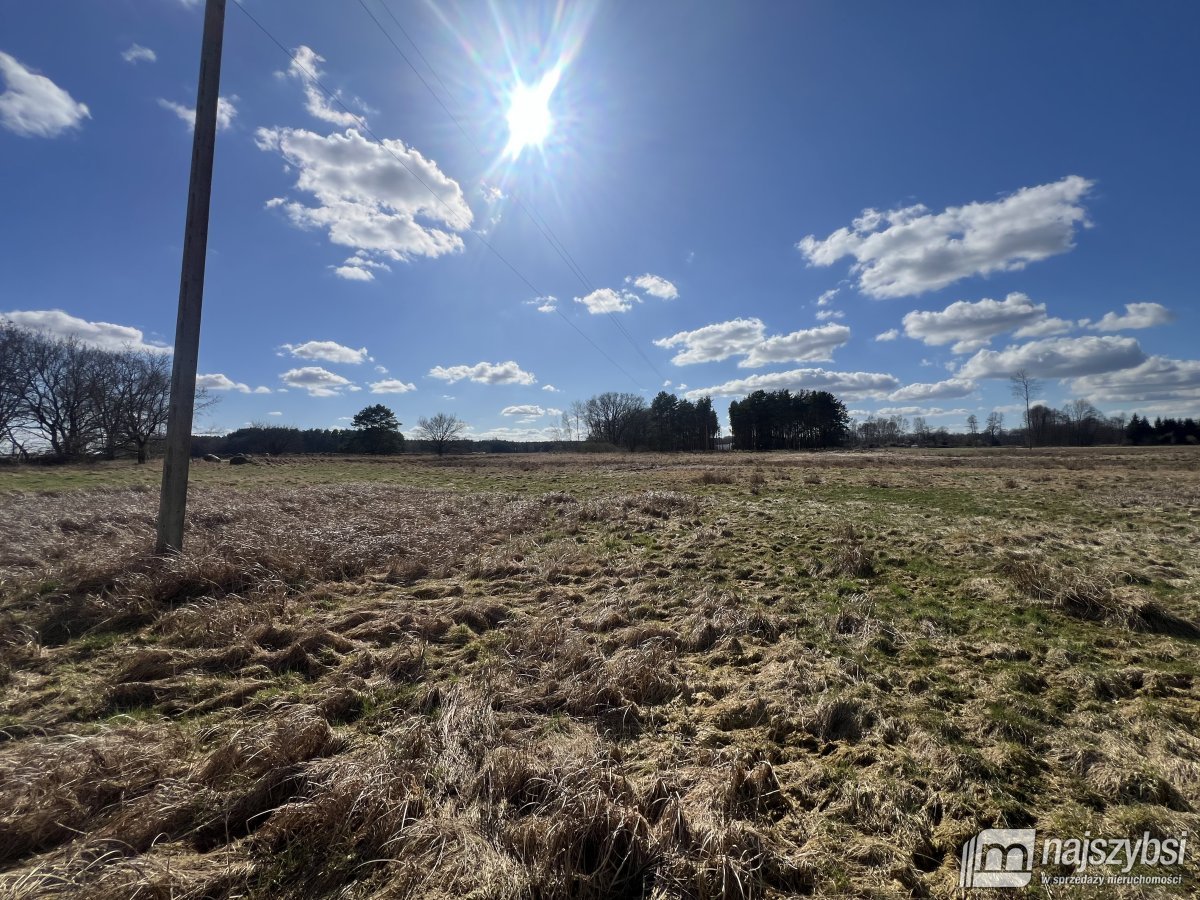 Grzepnica - duże działki z potencjałem (5)