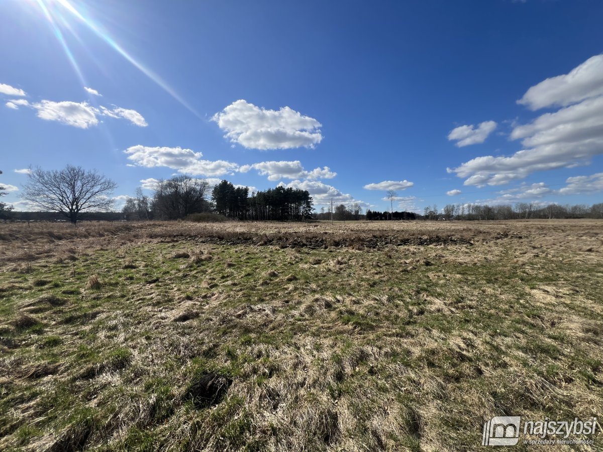 Grzepnica - duże działki z potencjałem (6)