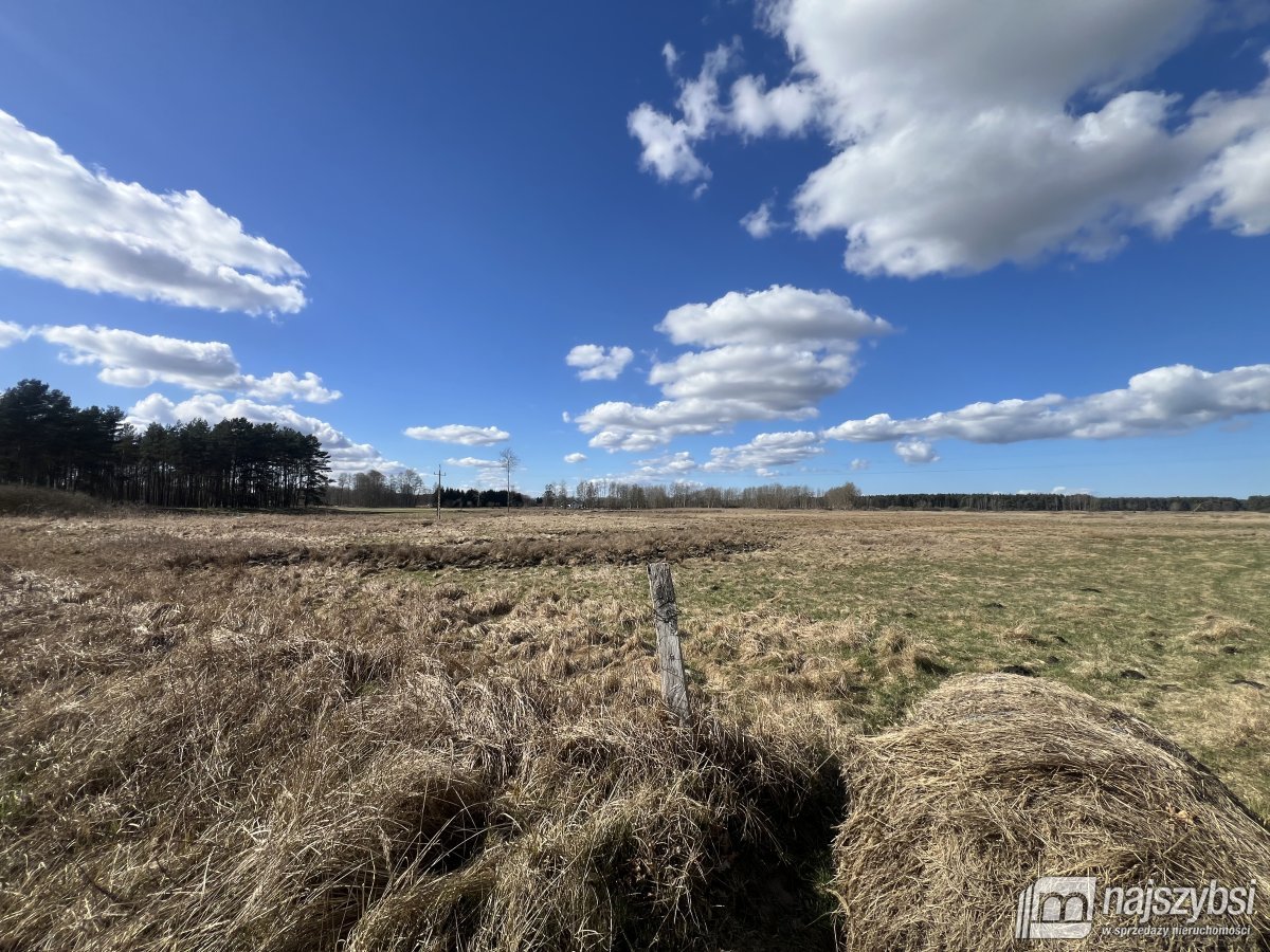 Grzepnica - duże działki z potencjałem (7)