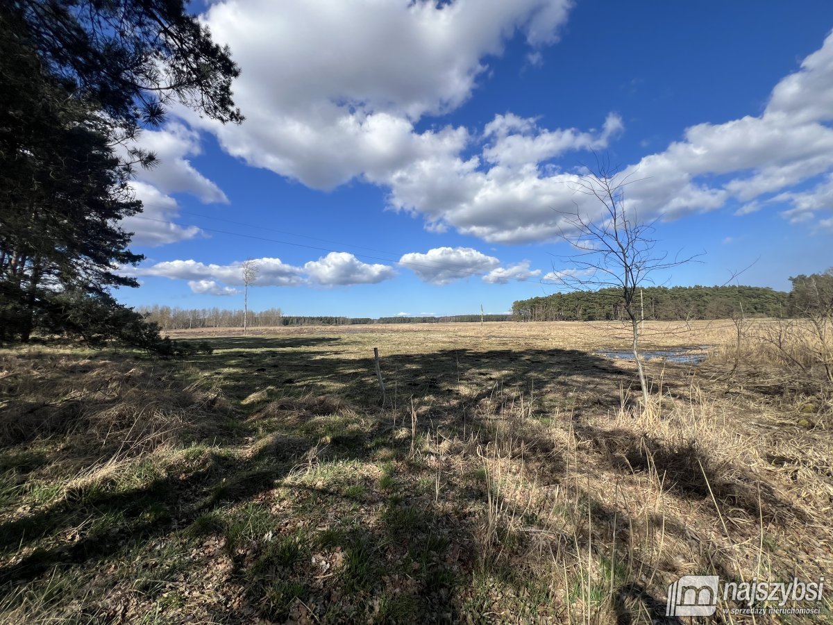 Grzepnica - duże działki z potencjałem (8)