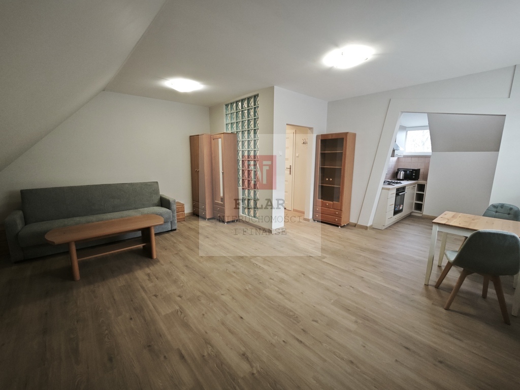 Duża, jasna kawalerka na wynajem, Stare Miasto. (7)