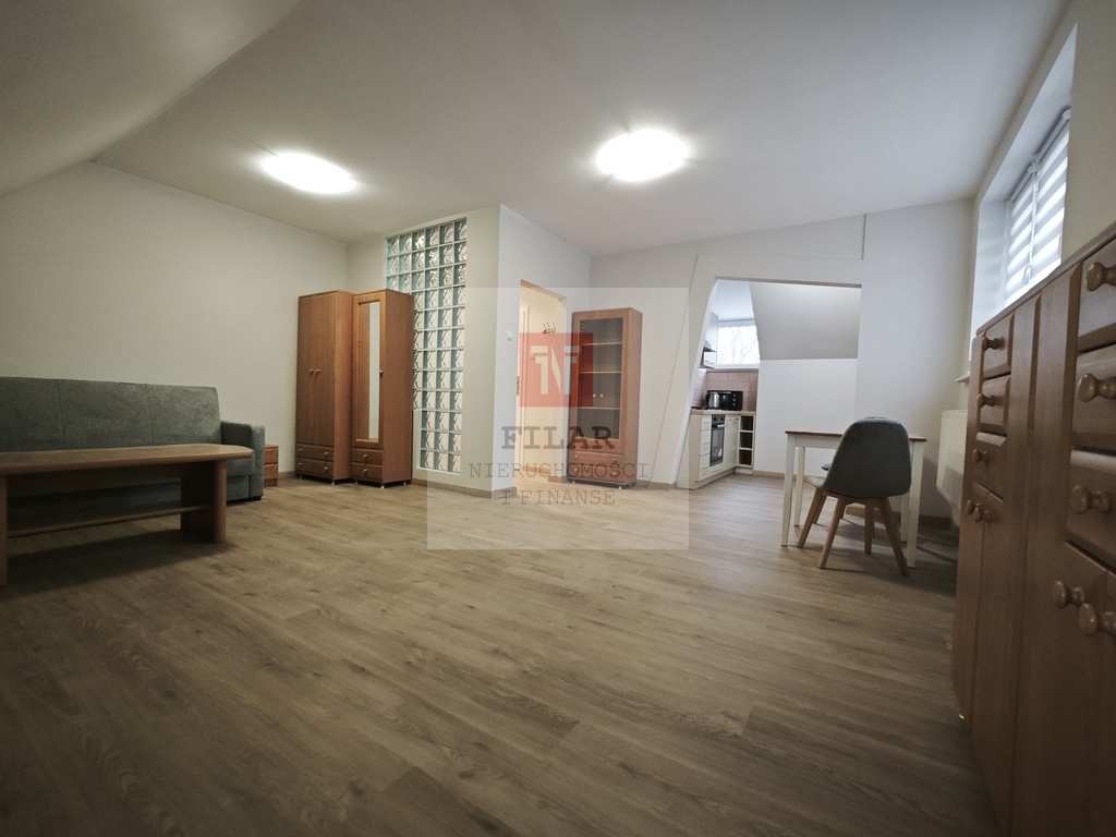 Duża, jasna kawalerka na wynajem, Stare Miasto. (16)