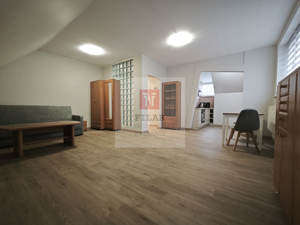 Duża, jasna kawalerka na wynajem, Stare Miasto. (4)