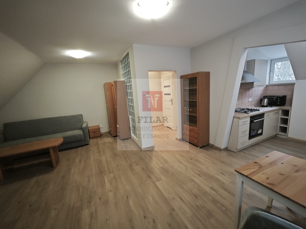 Duża, jasna kawalerka na wynajem, Stare Miasto. (2)