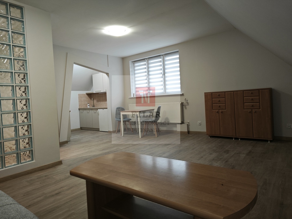 Duża, jasna kawalerka na wynajem, Stare Miasto. (3)