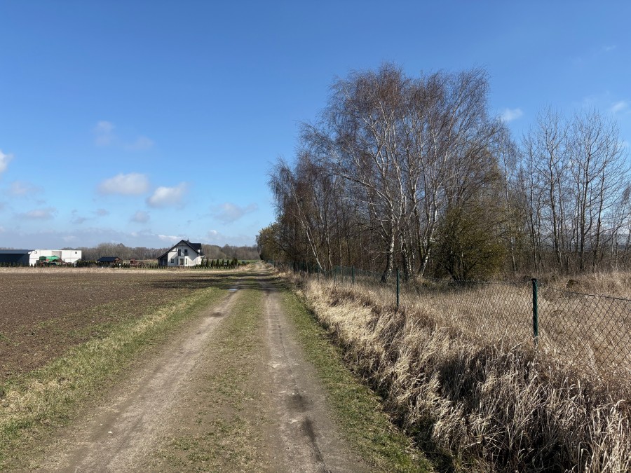 DUŻA DZIAŁKA Z WARUNKAMI MASZEWO (2)