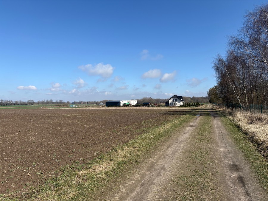 DUŻA DZIAŁKA Z WARUNKAMI MASZEWO (3)