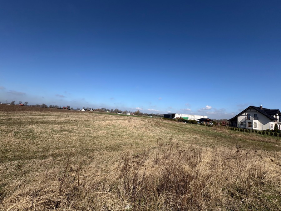 DUŻA DZIAŁKA Z WARUNKAMI MASZEWO (1)