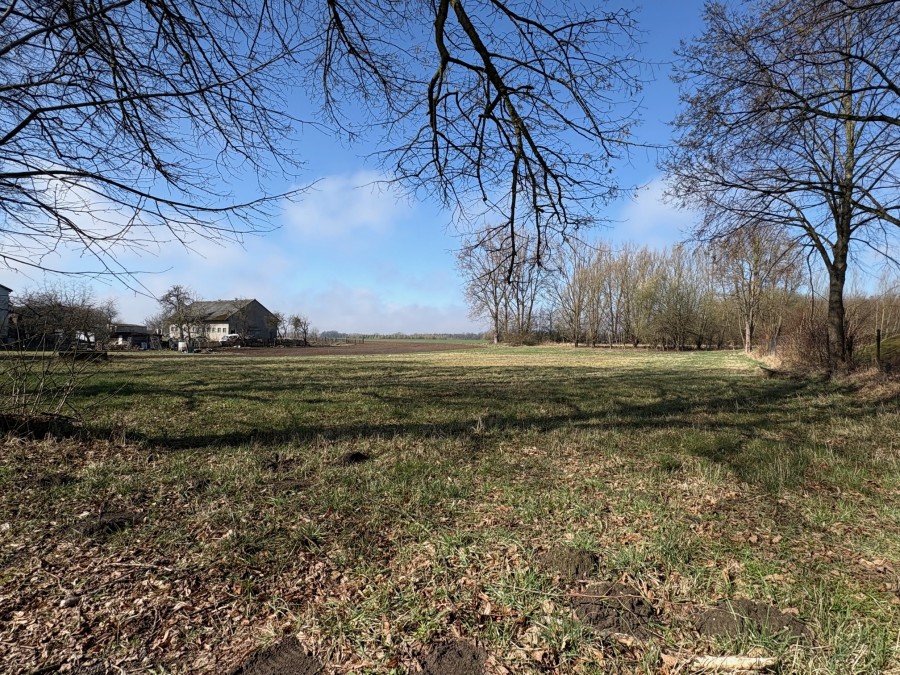 DZIAŁKA  W  BOBROWNIKACH (1)