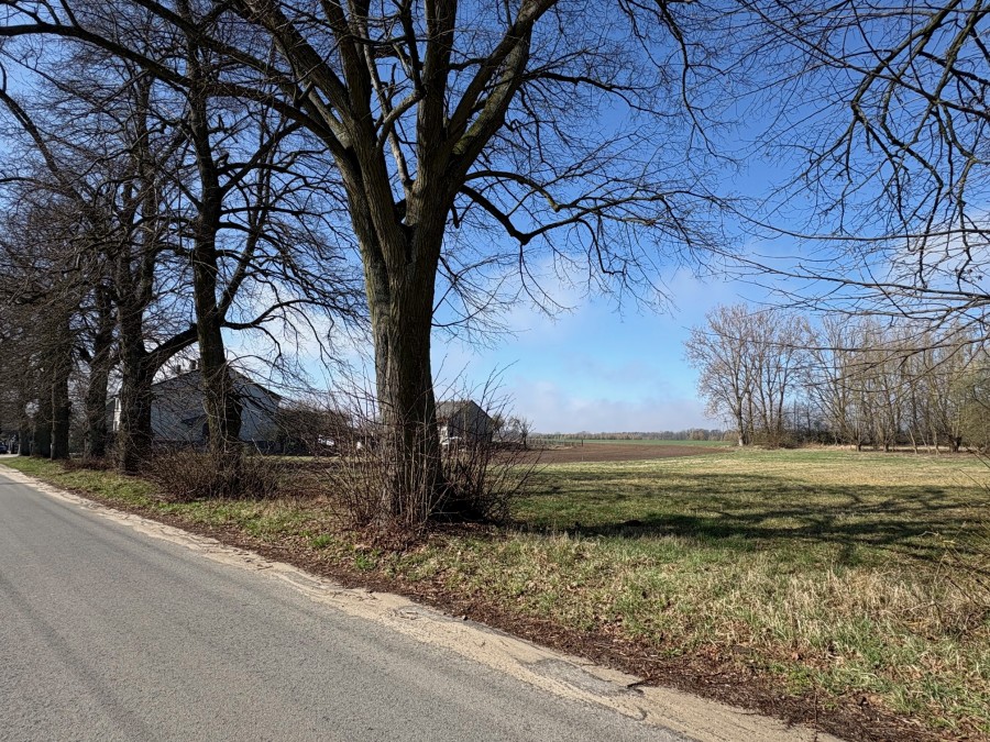 DZIAŁKA  W  BOBROWNIKACH (3)