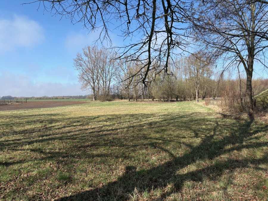 DZIAŁKA  W  BOBROWNIKACH (2)