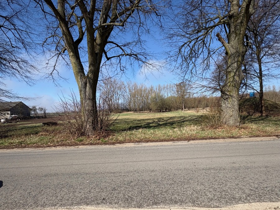 DZIAŁKA  W  BOBROWNIKACH (5)