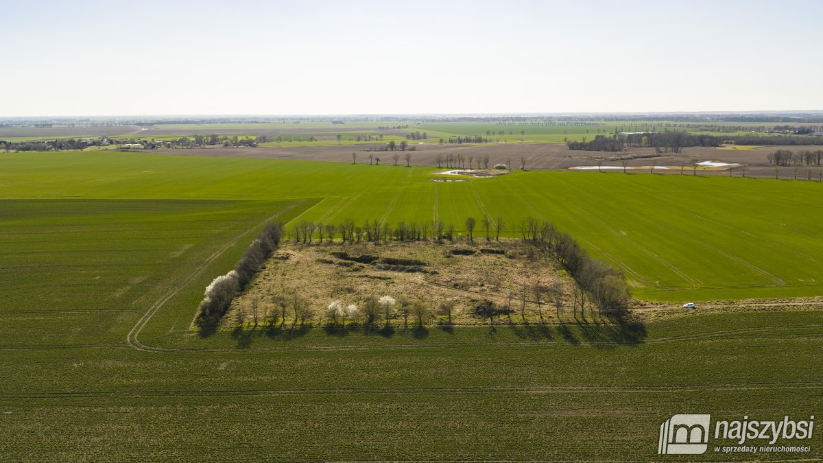 WITKOWO-DZIAŁKA 2,25HA Wyjątkowo atrakcyjna okazja (1)
