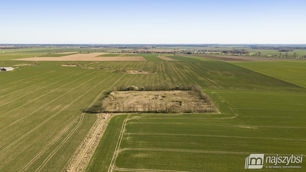 WITKOWO-DZIAŁKA 2,25HA Wyjątkowo atrakcyjna okazja (12)