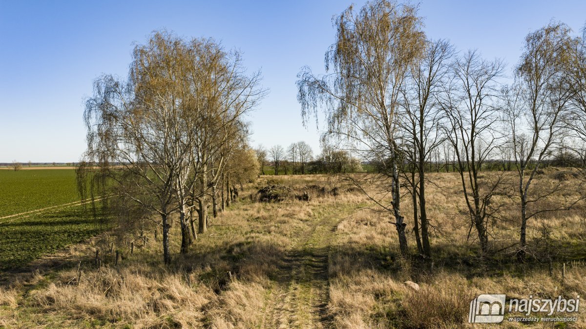 WITKOWO-DZIAŁKA 2,25HA Wyjątkowo atrakcyjna okazja (13)