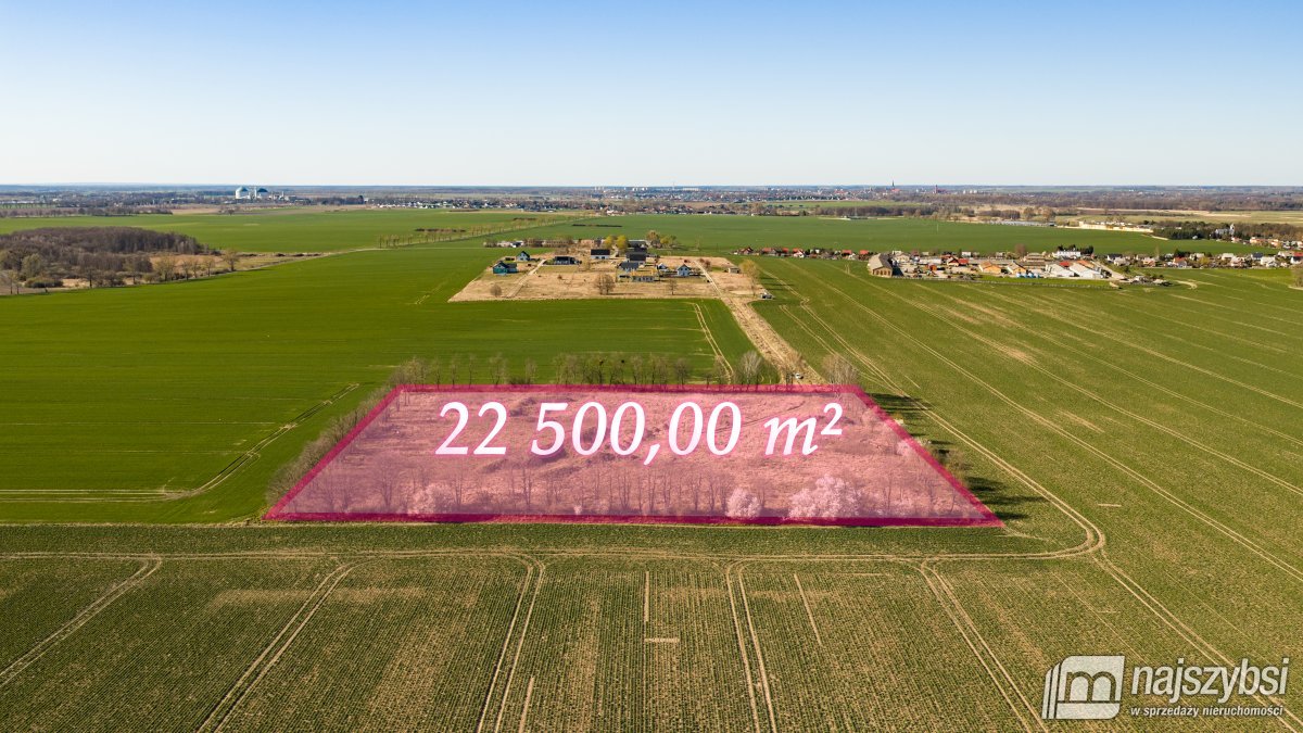 WITKOWO-DZIAŁKA 2,25HA Wyjątkowo atrakcyjna okazja (14)