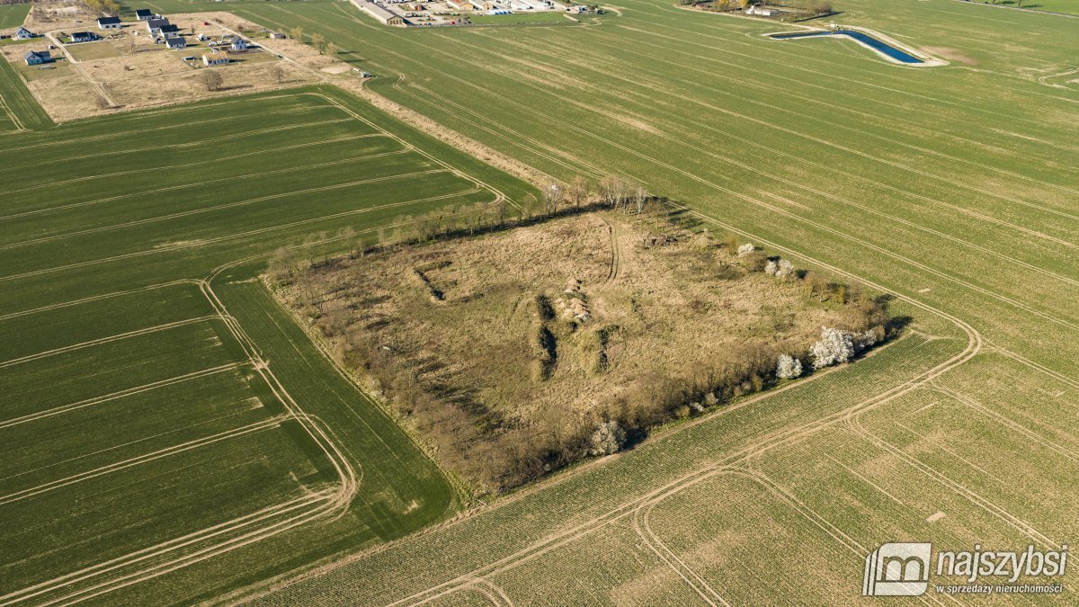 WITKOWO-DZIAŁKA 2,25HA Wyjątkowo atrakcyjna okazja (3)