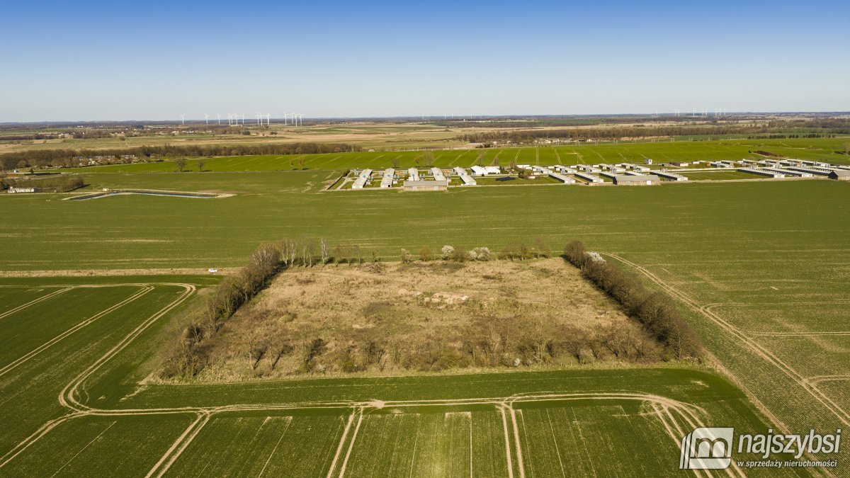 WITKOWO-DZIAŁKA 2,25HA Wyjątkowo atrakcyjna okazja (4)