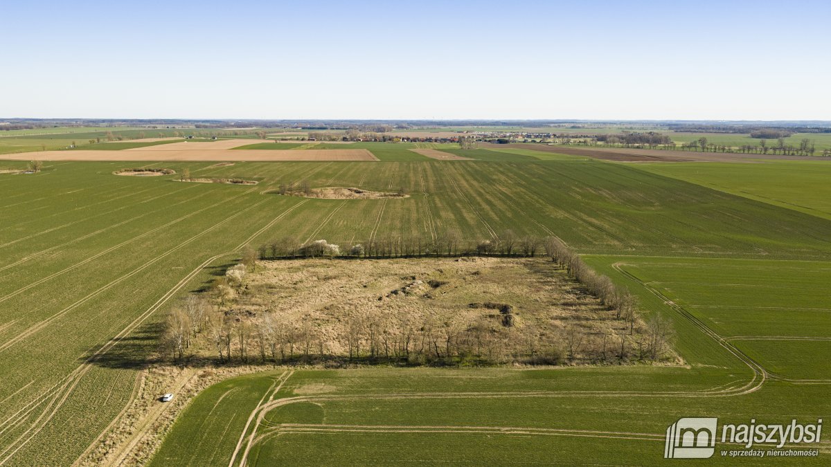 WITKOWO-DZIAŁKA 2,25HA Wyjątkowo atrakcyjna okazja (5)