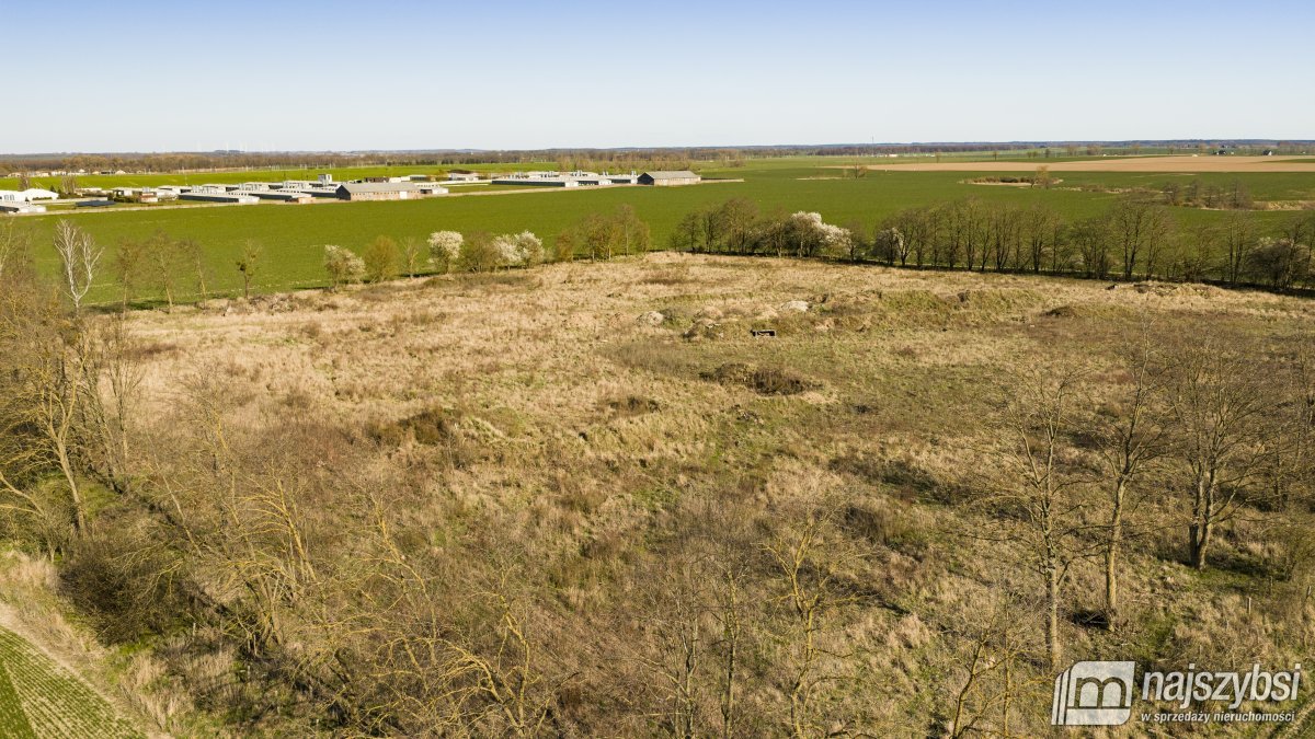 WITKOWO-DZIAŁKA 2,25HA Wyjątkowo atrakcyjna okazja (6)