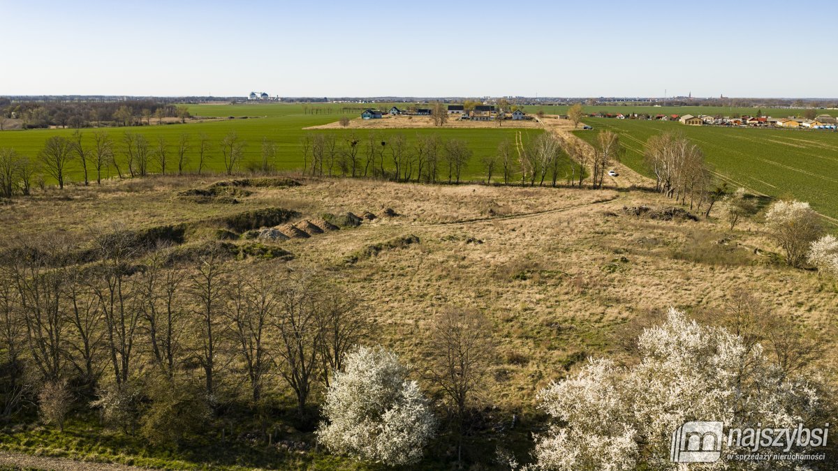 WITKOWO-DZIAŁKA 2,25HA Wyjątkowo atrakcyjna okazja (8)