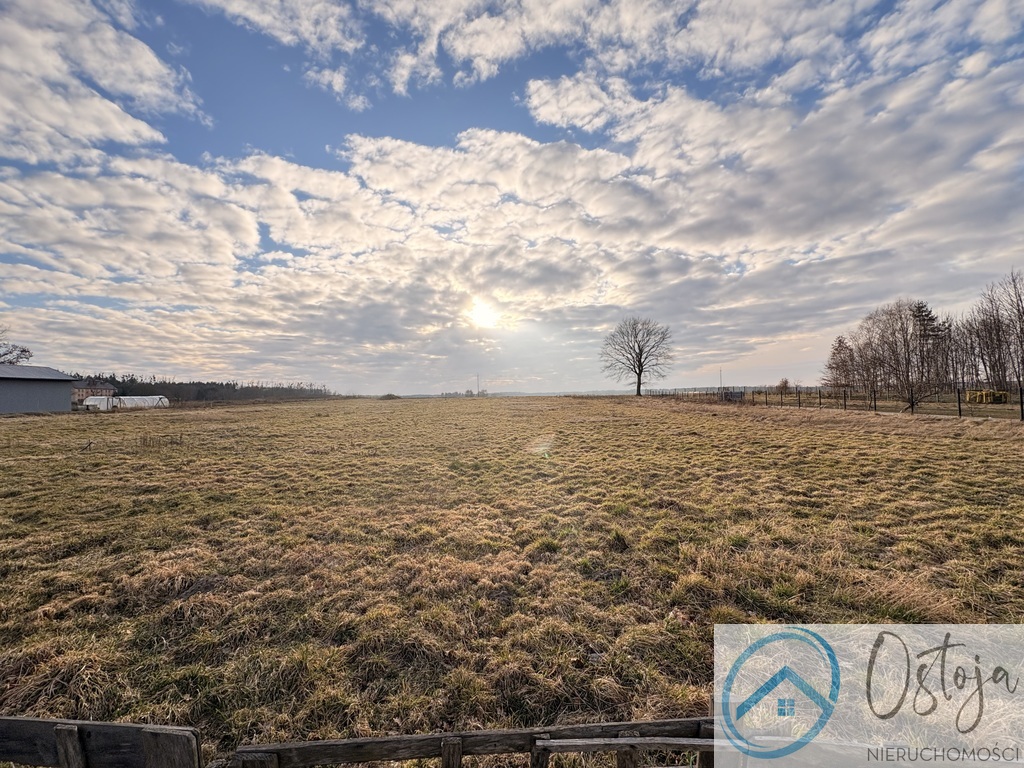 Dom wolnostojący I Duża działka I Bliskość natury (20)