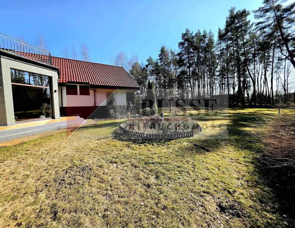 Dom przy ścianie lasu na dużej działce! (19)