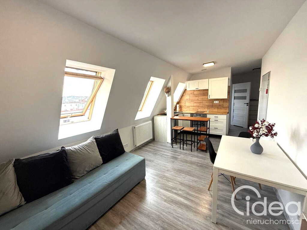 Centrum, piękna kawalerka po remoncie (4)