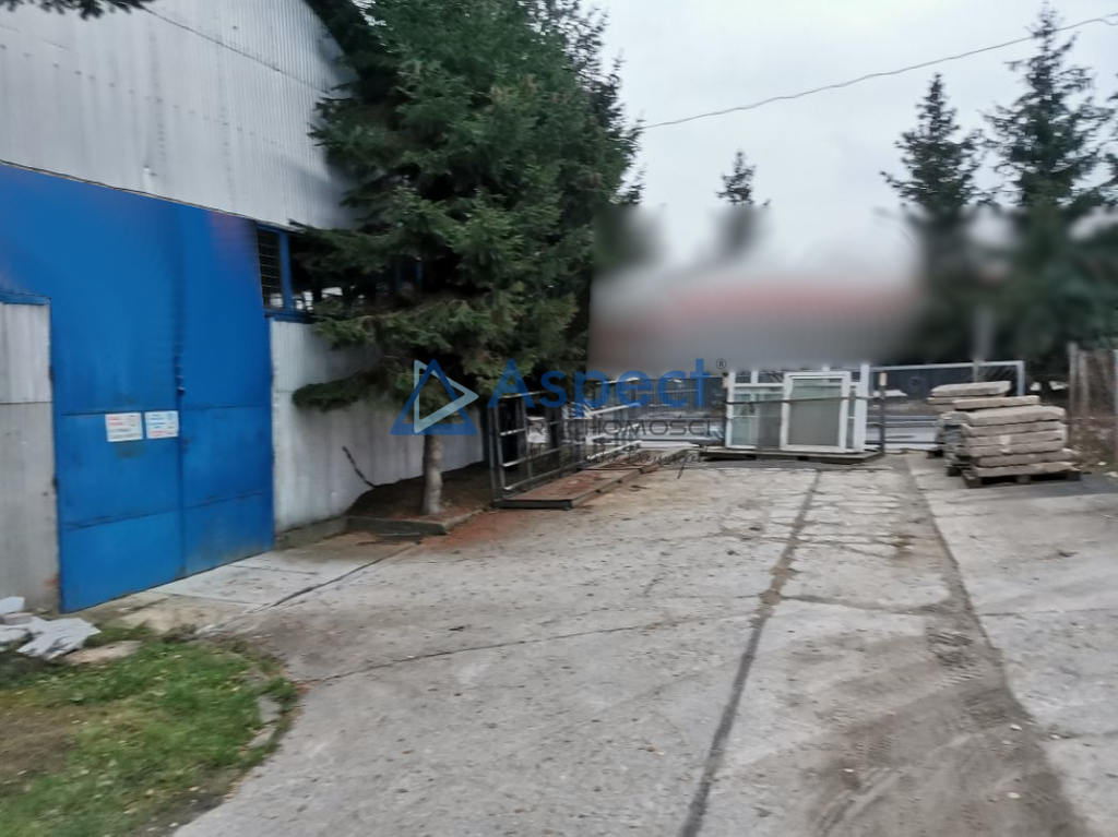 Obiekt, 460 m2, Mierzyn  (4)