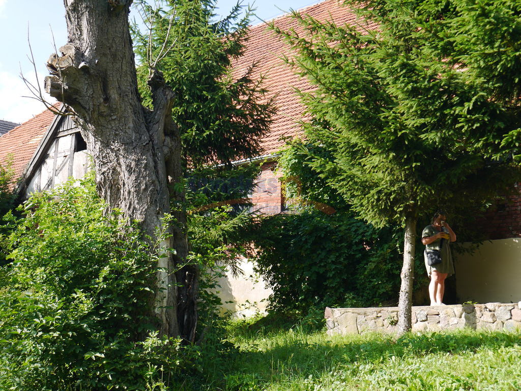 Do sprzedaży  3 budynki gospodarcze. (25)